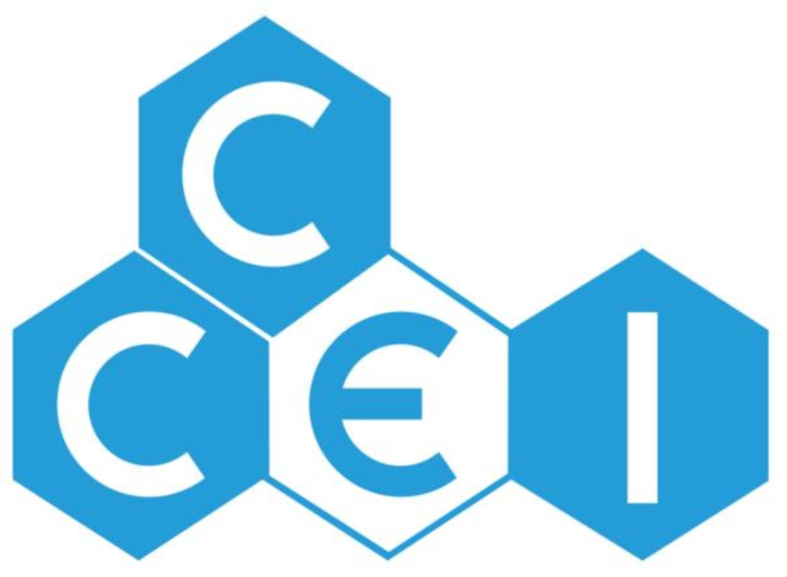 Pool contractor — CCEI