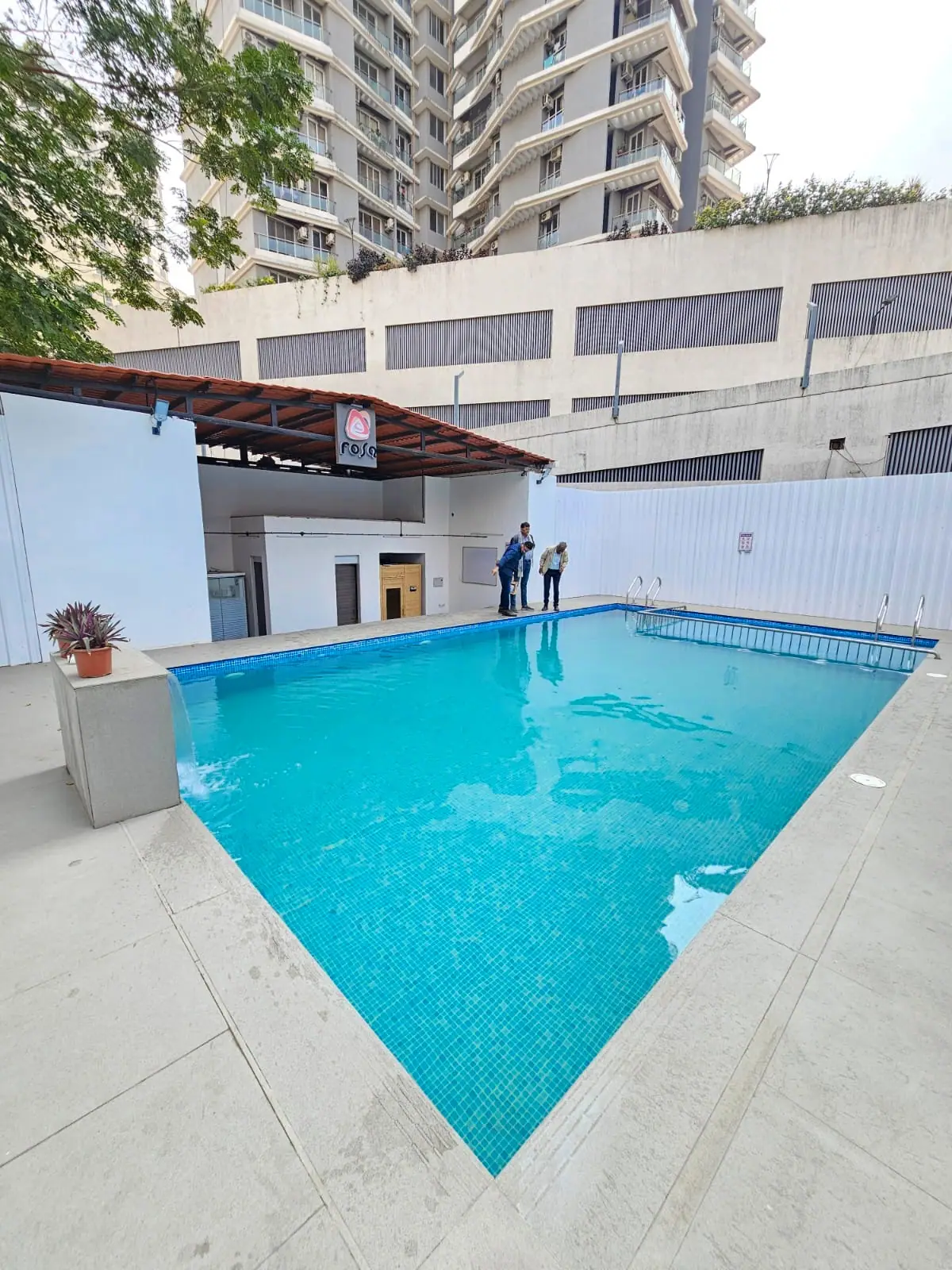 Pool contractor — Rosa residential mosaic pool